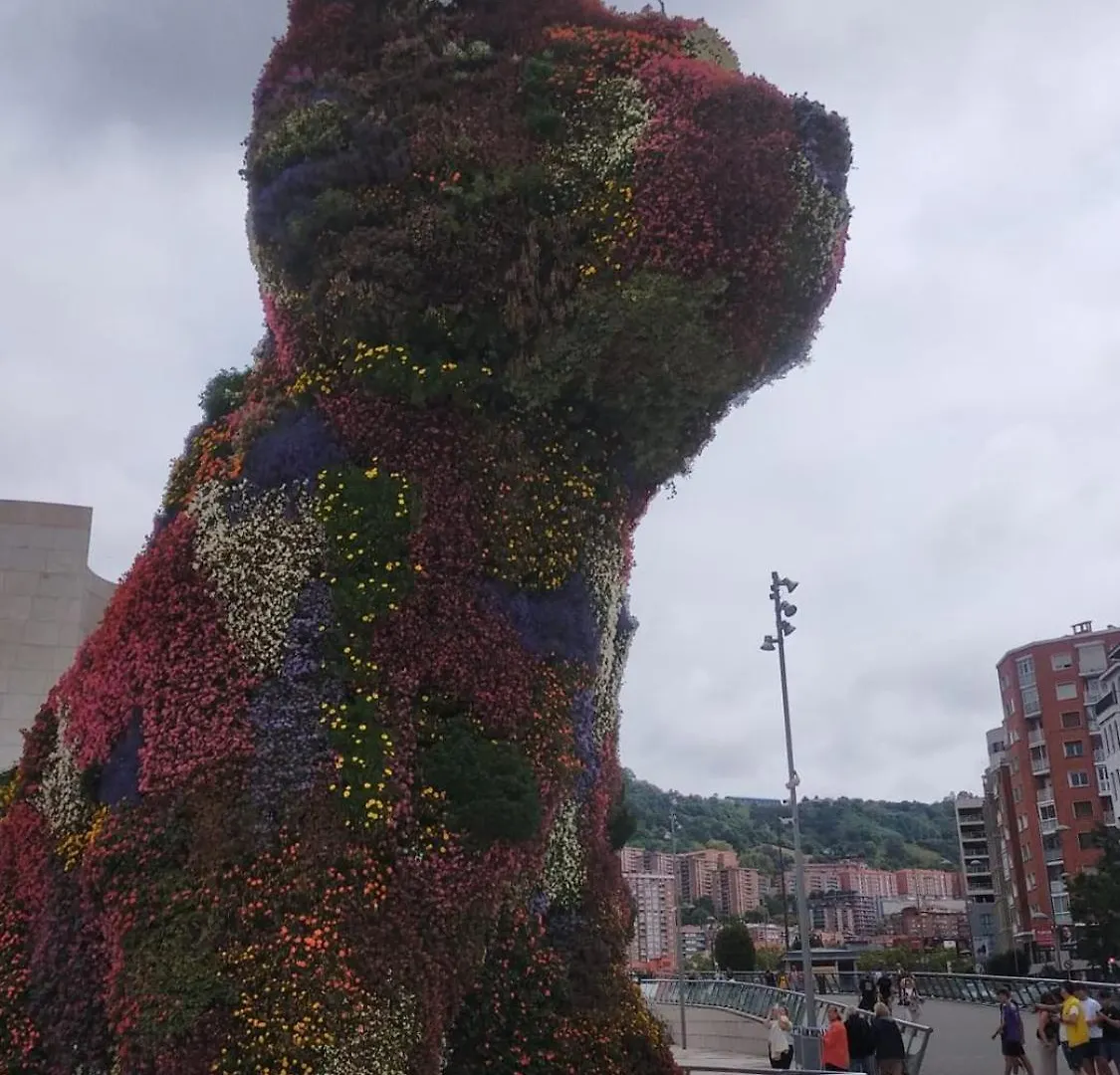 Séjour chez l'habitant Appartement Bilbao La Vieja Arena Wifi Espagne