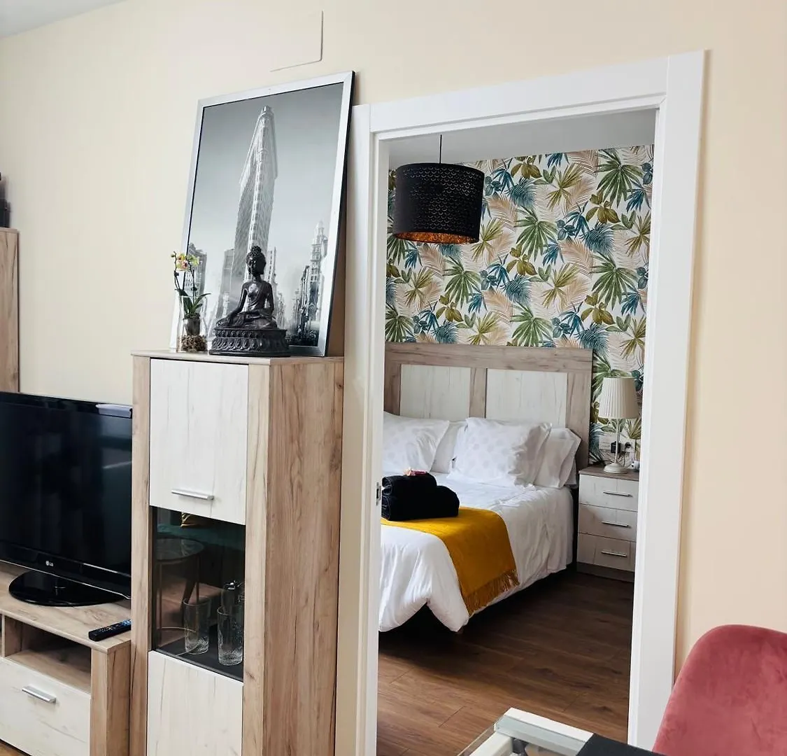 Séjour chez l'habitant Appartement Bilbao La Vieja Arena Wifi